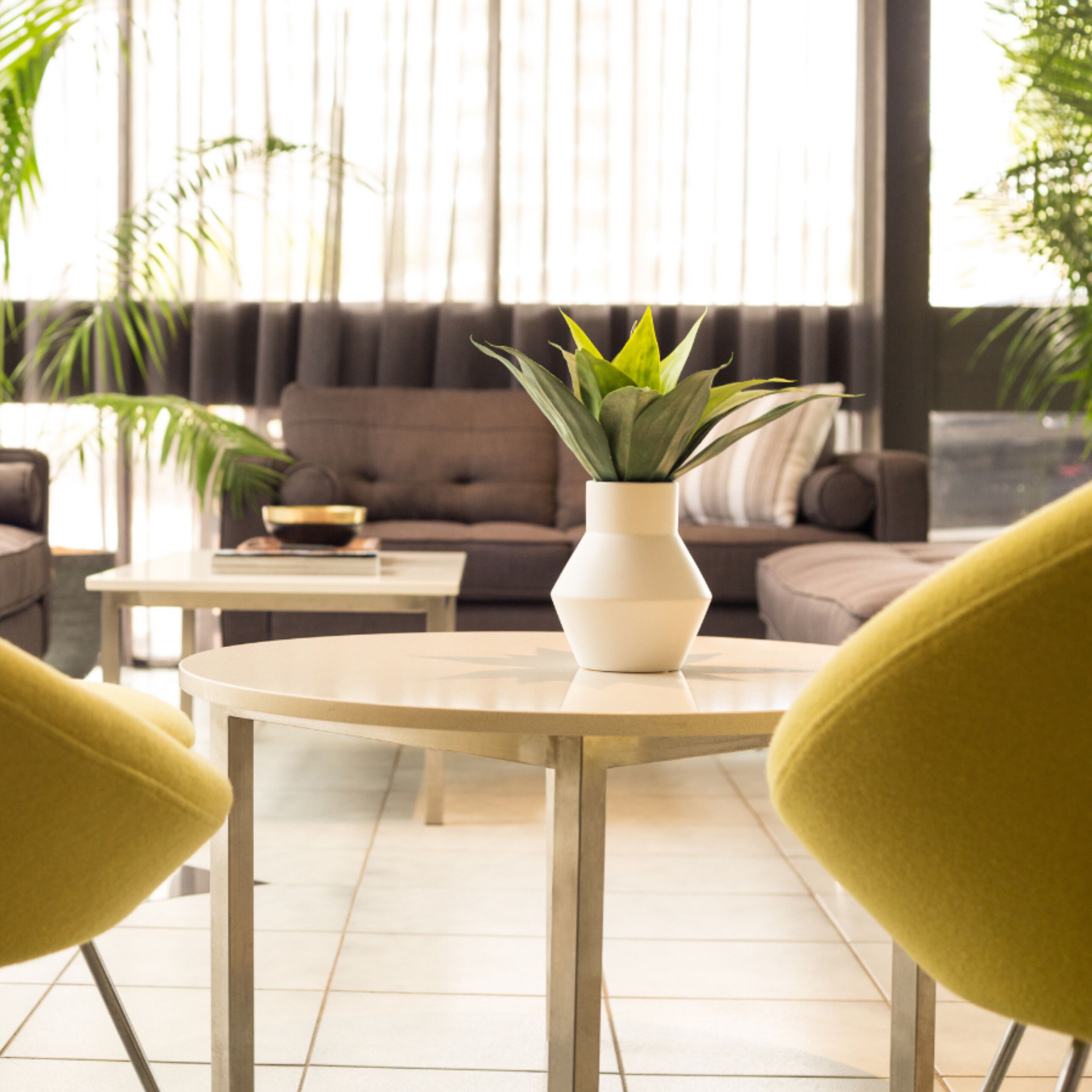 Quality Frontier Darwin