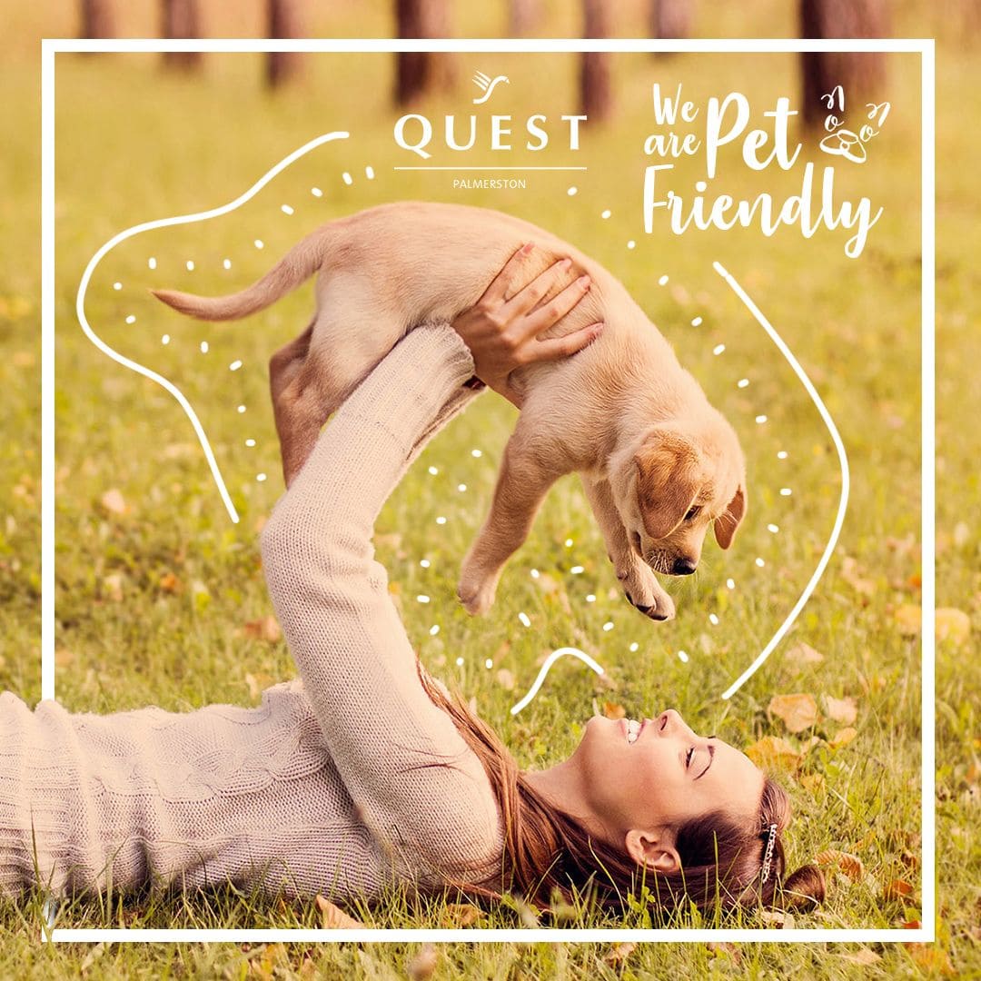 Quest Palmerston