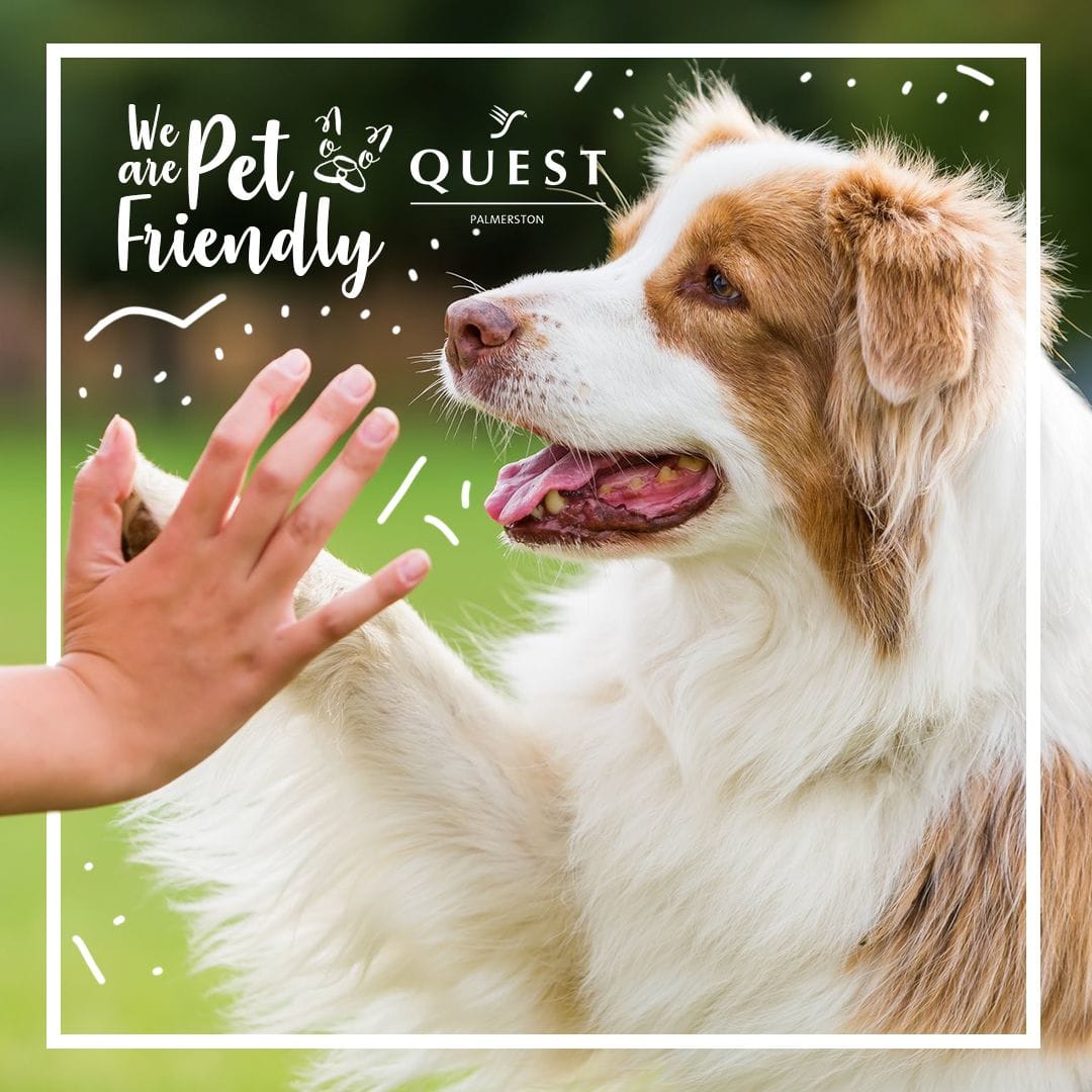 Quest Palmerston