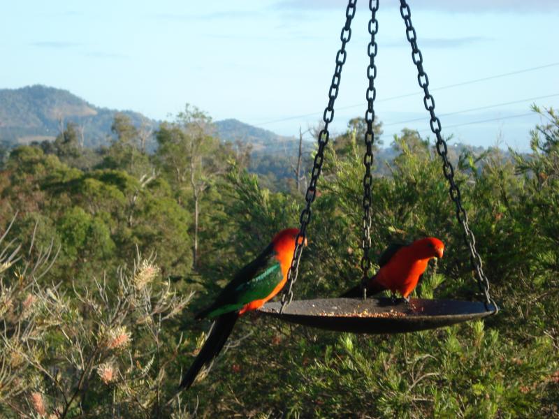 Amamoor Lodge