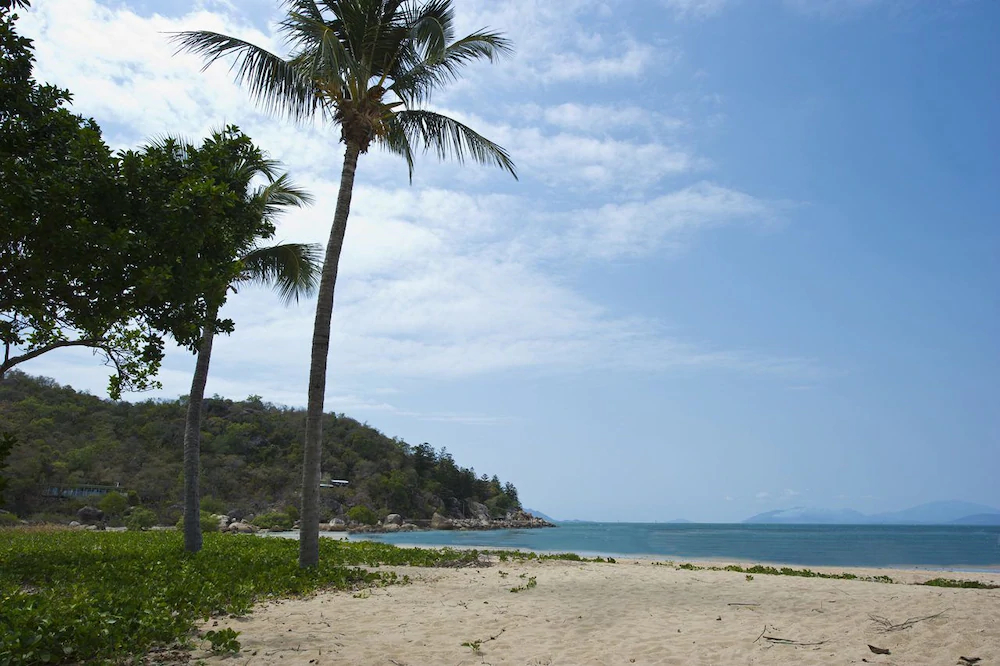 Beachcomber