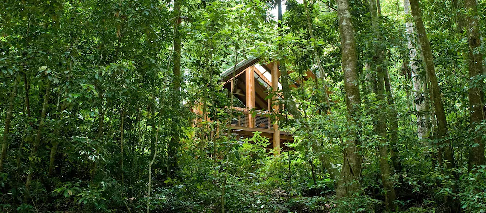 Canopy Tree Houses