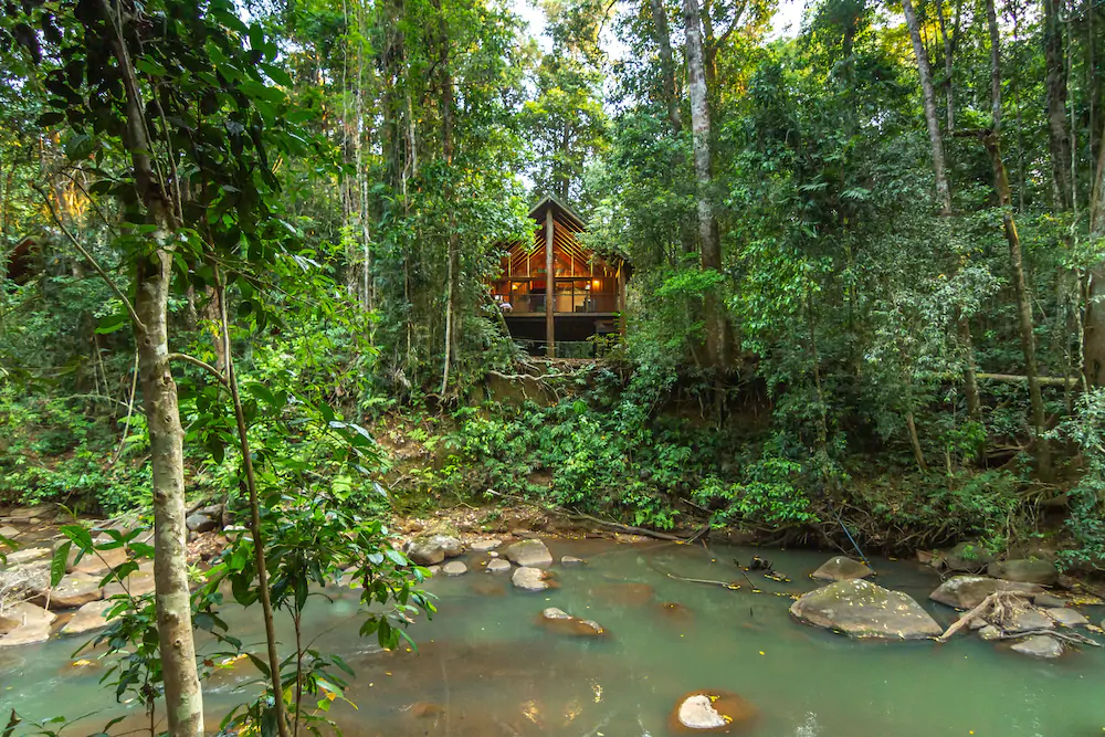 Canopy Tree Houses