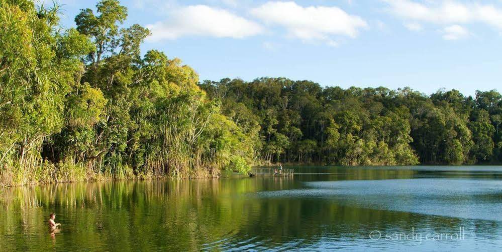 Chambers Wildlife Rainforest Lodges