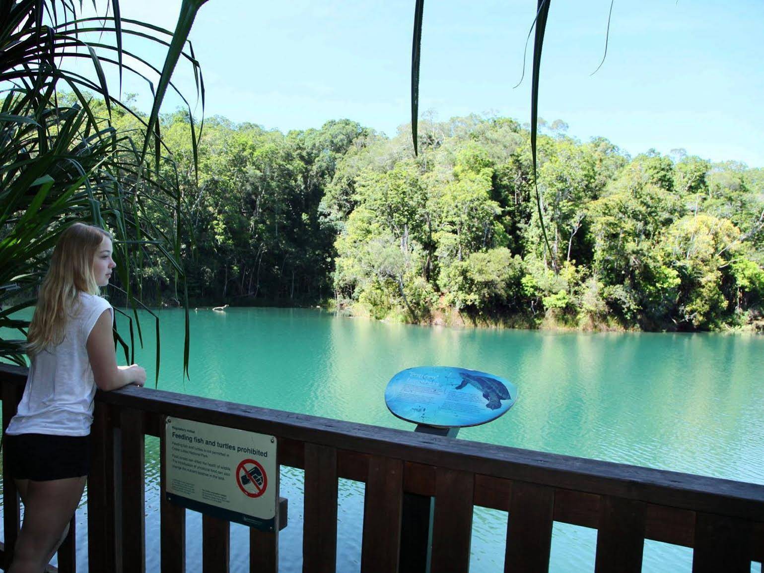 Chambers Wildlife Rainforest Lodges