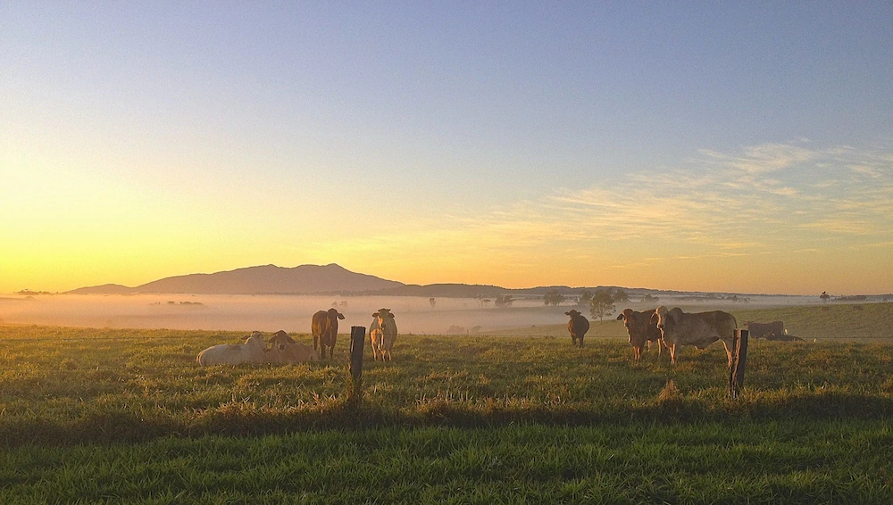 Lake Eacham Tourist Park & Self Contained Cabins