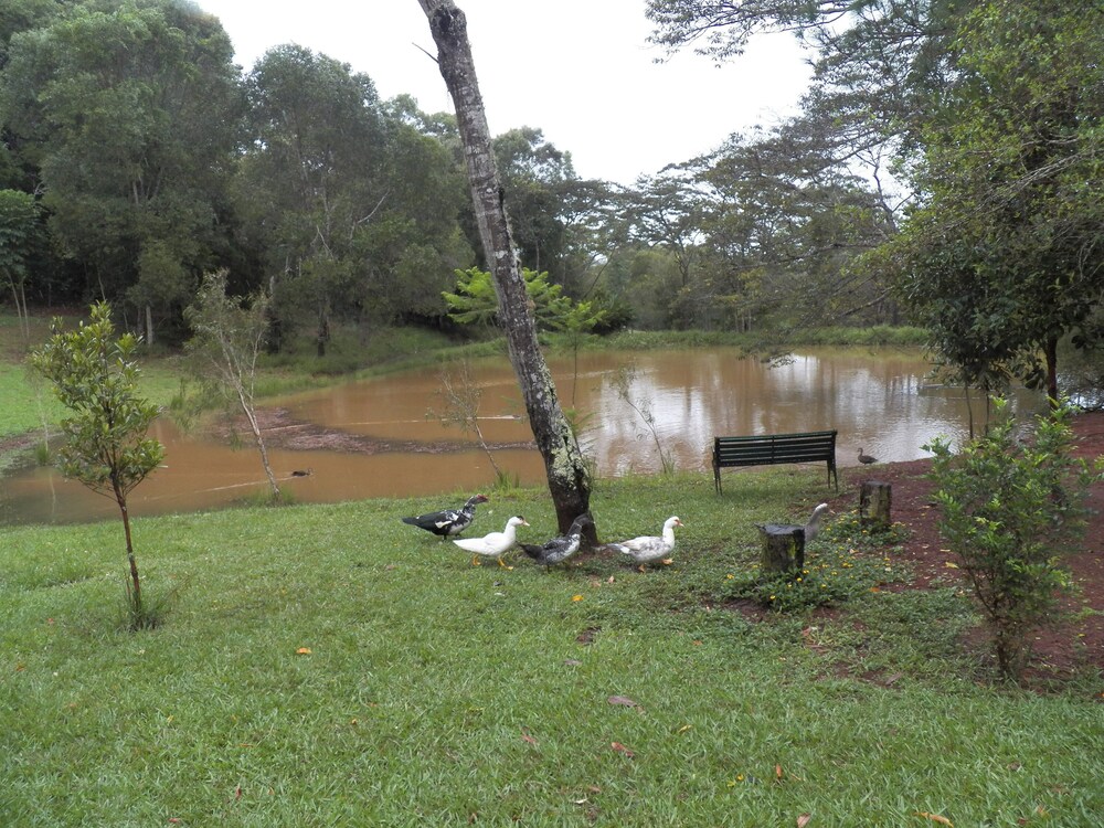 Lake Eacham Tourist Park & Self Contained Cabins