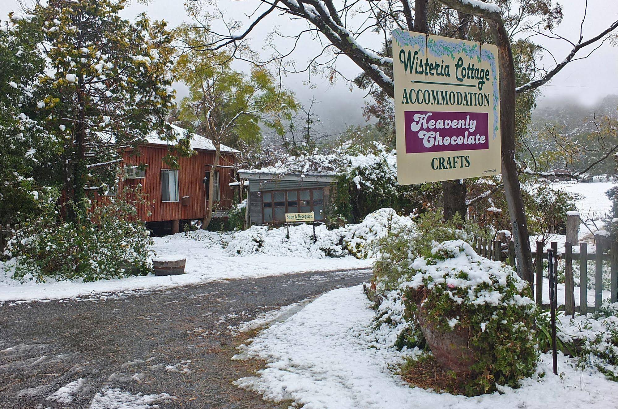 Wisteria Cottage and Cabins