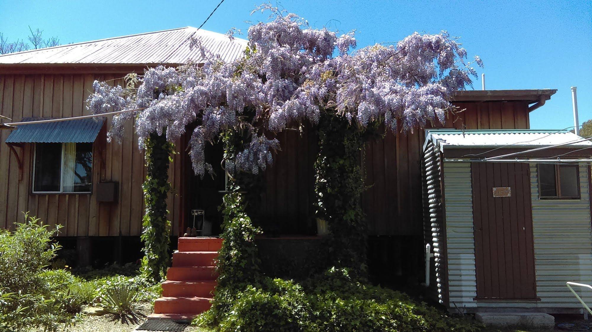 Wisteria Cottage and Cabins