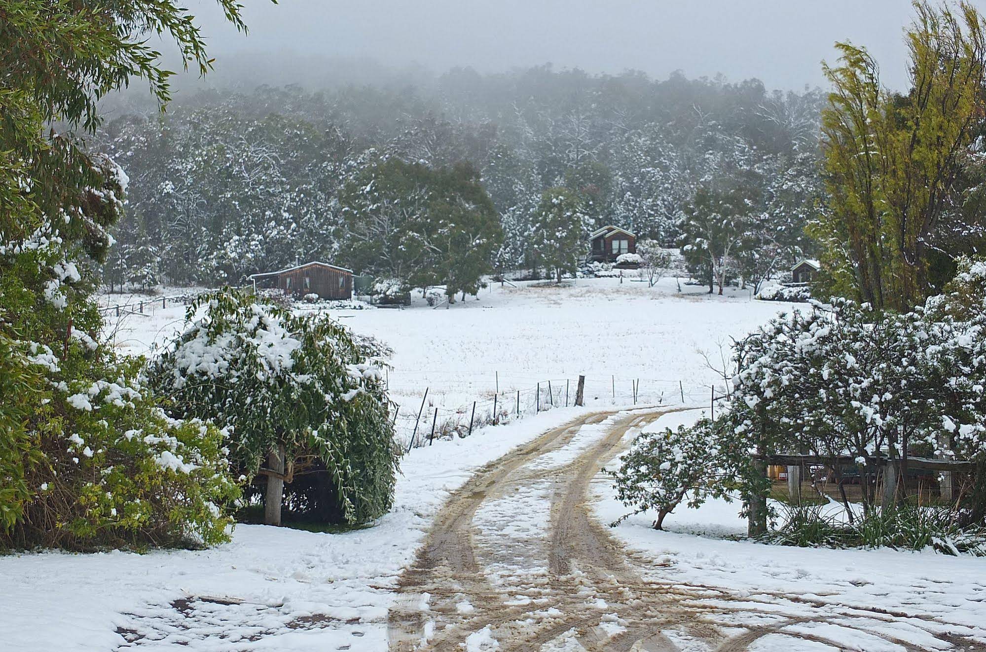 Wisteria Cottage and Cabins