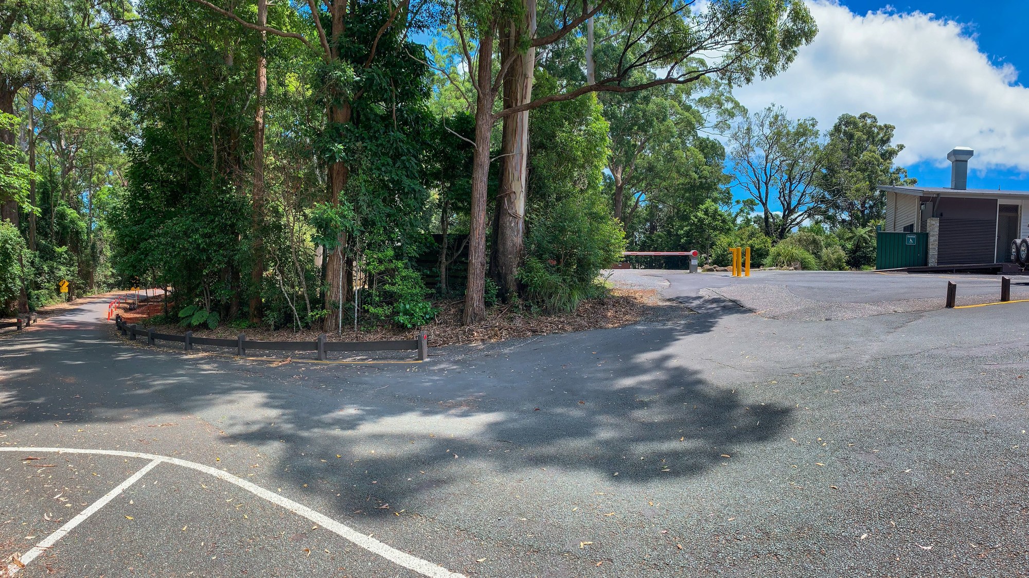 Binna Burra Lodge
