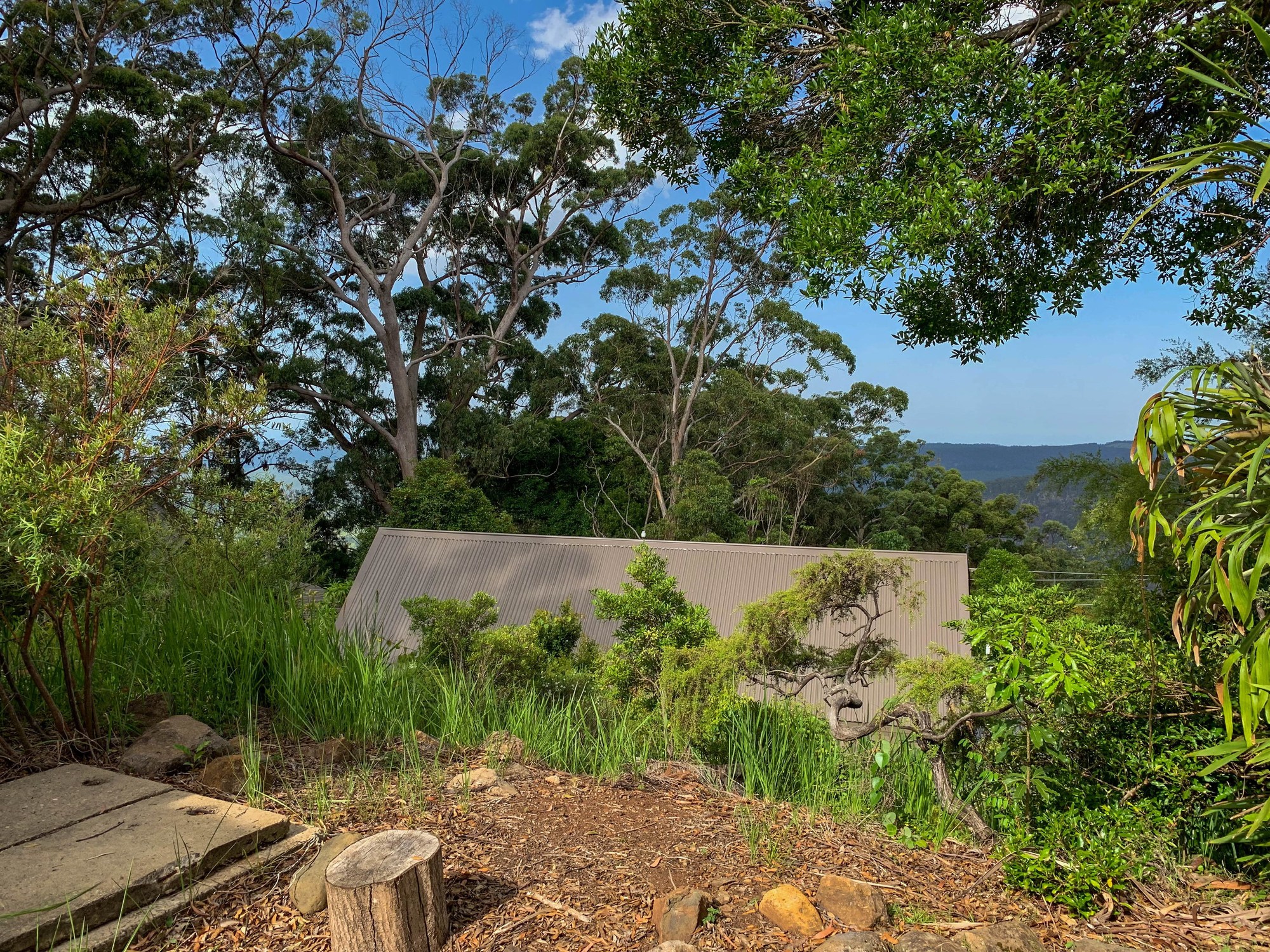 Binna Burra Lodge