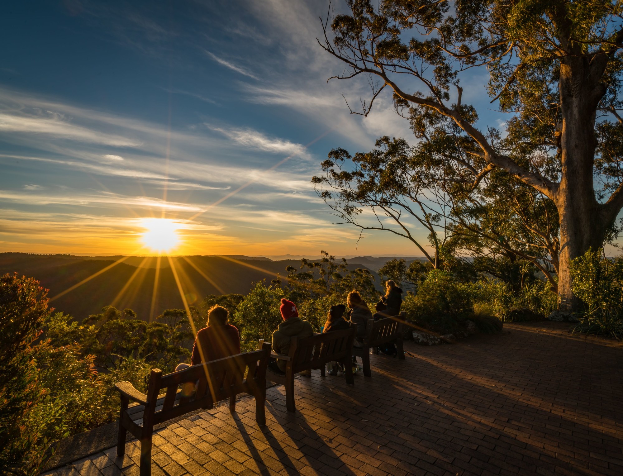Binna Burra Lodge