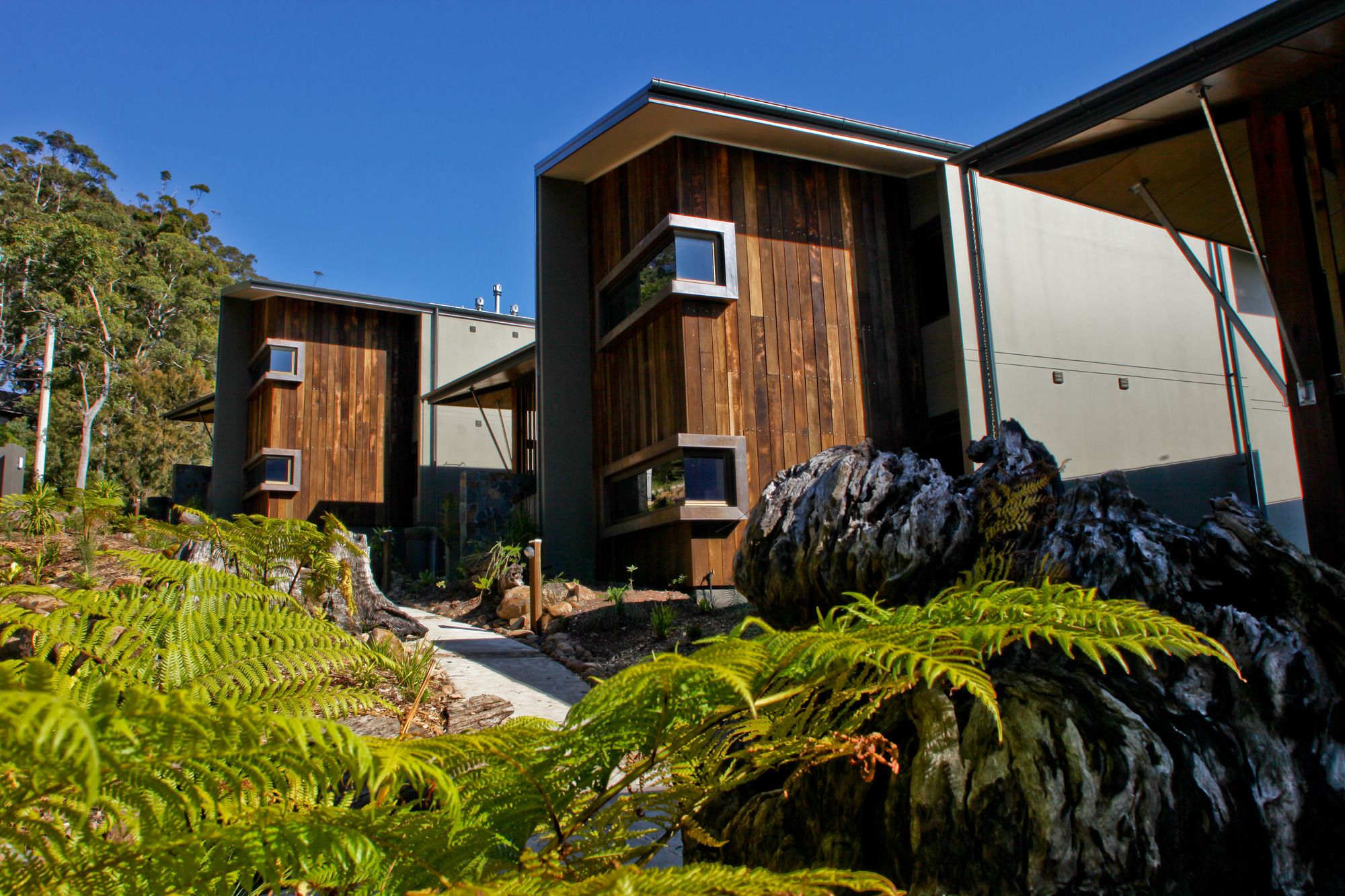 Binna Burra Lodge