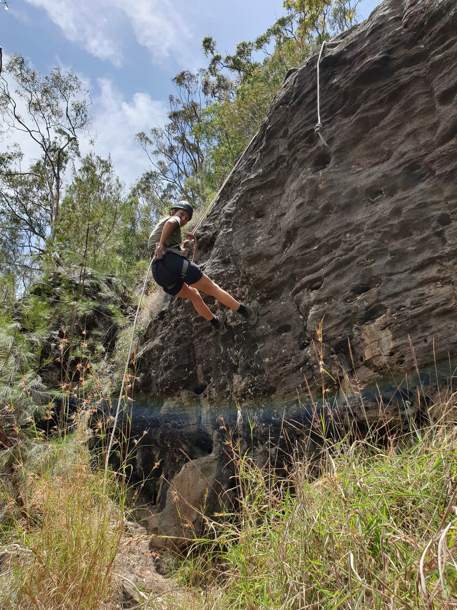 Binna Burra Lodge