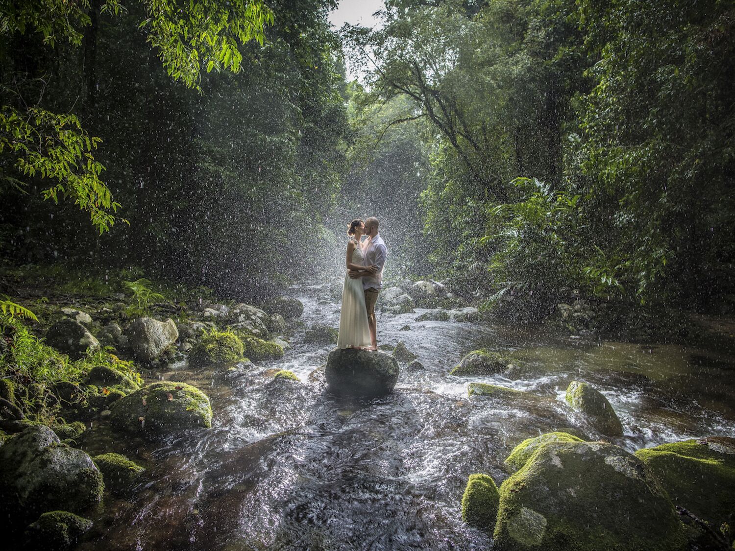 Misty Mountains Rainforest Retreat