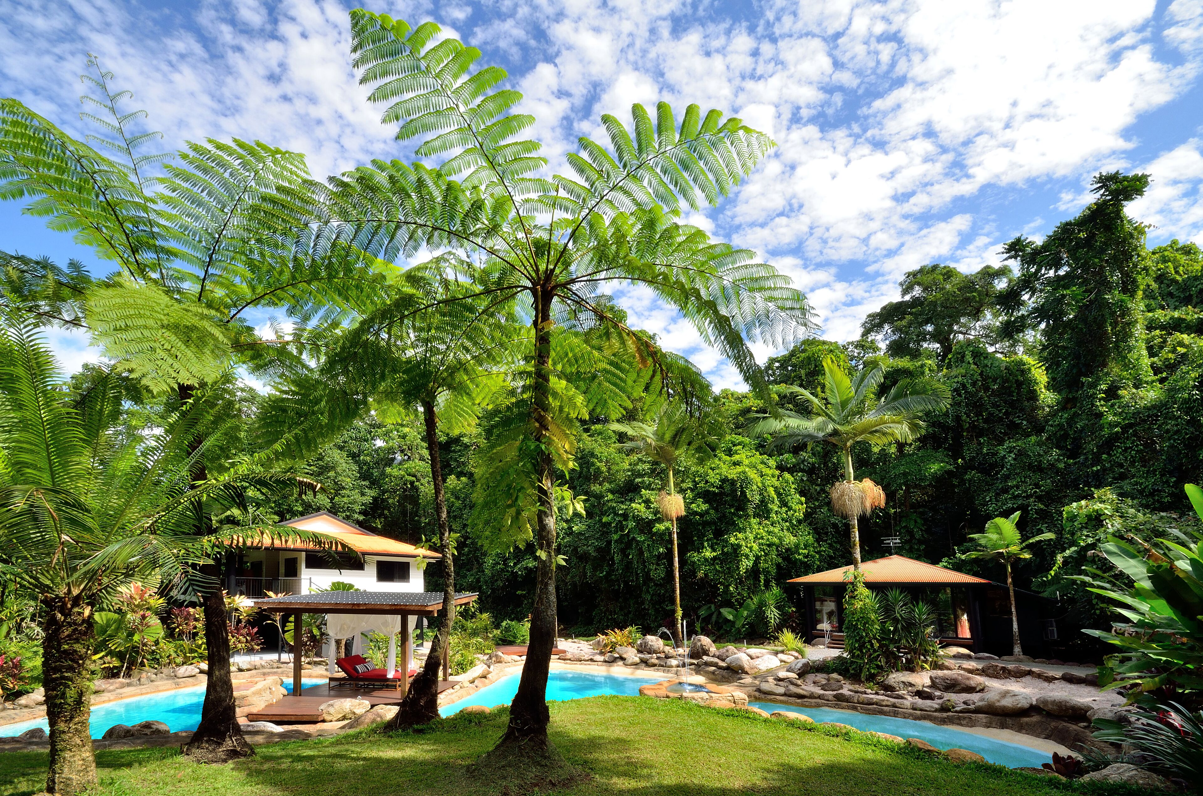 Misty Mountains Rainforest Retreat