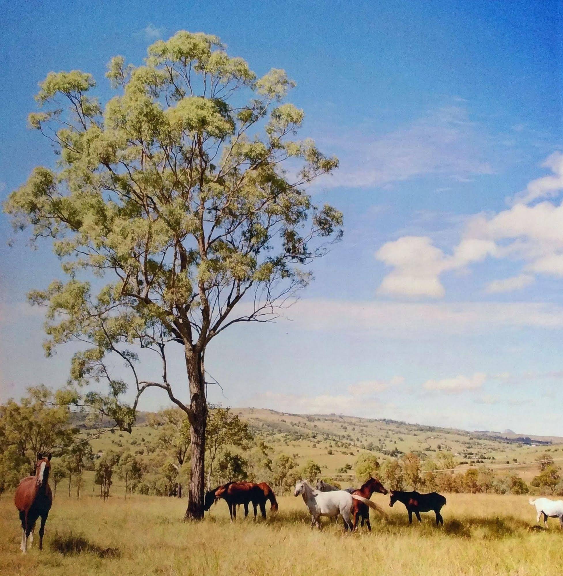 Boonah Valley Motel