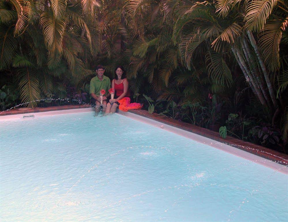 Palm View Holiday Apartments