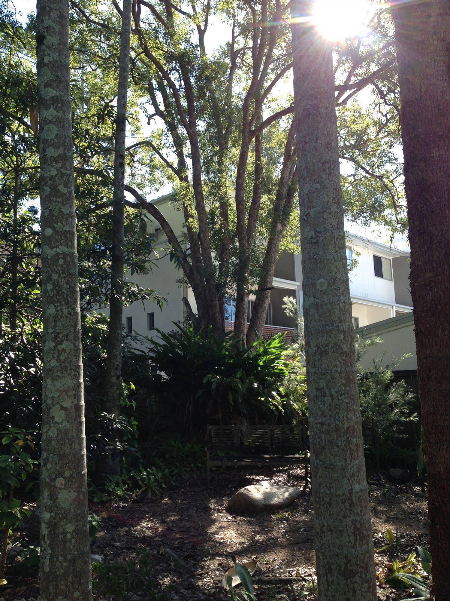 Forest Lodge Apartments