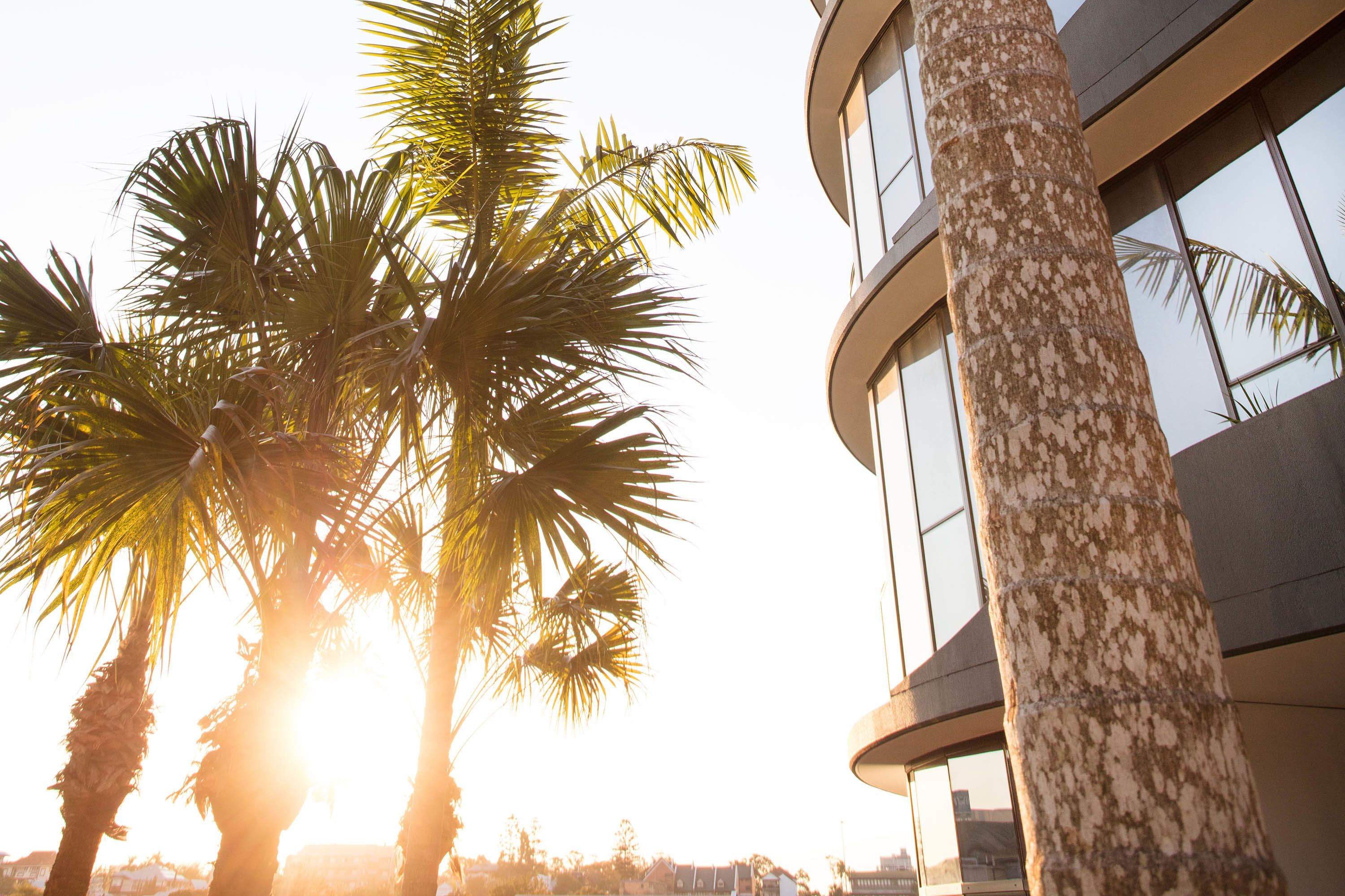 FV Brisbane by Peppers