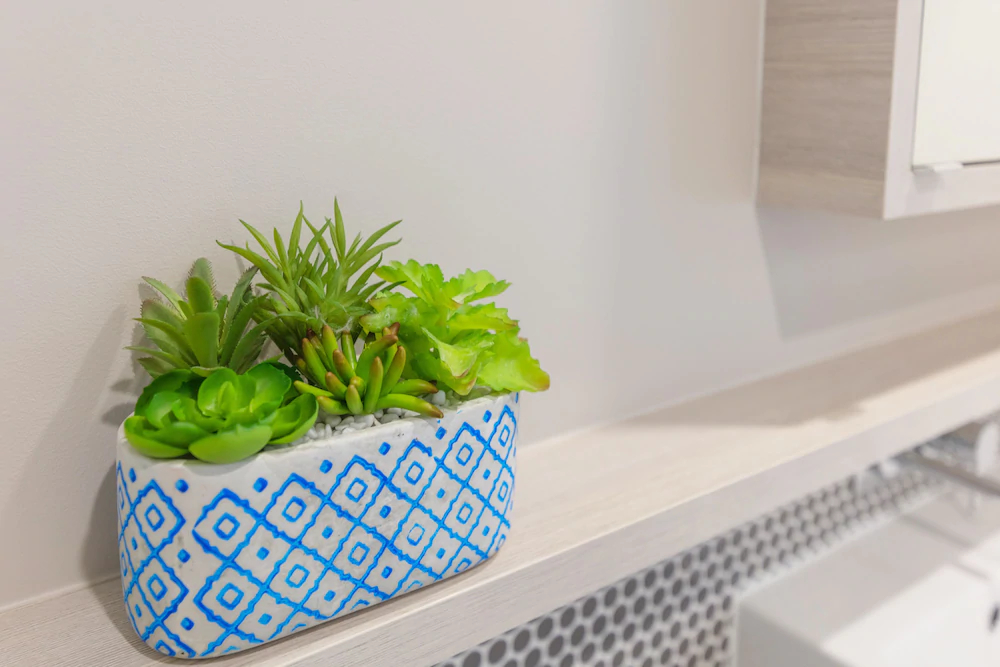 SoFun Apartments at South Brisbane