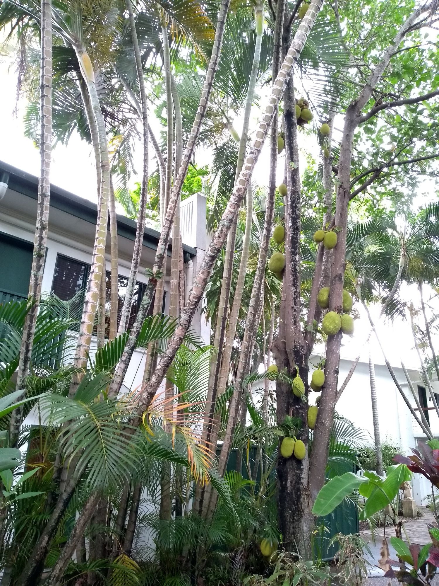 Bay Village Tropical Retreat