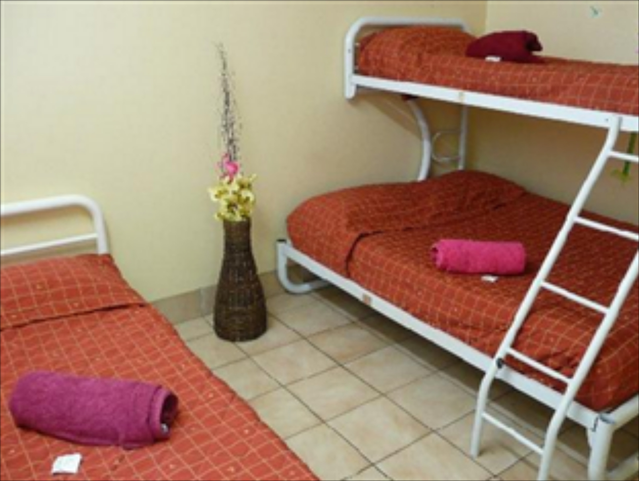 Cairns City Backpackers Hostel