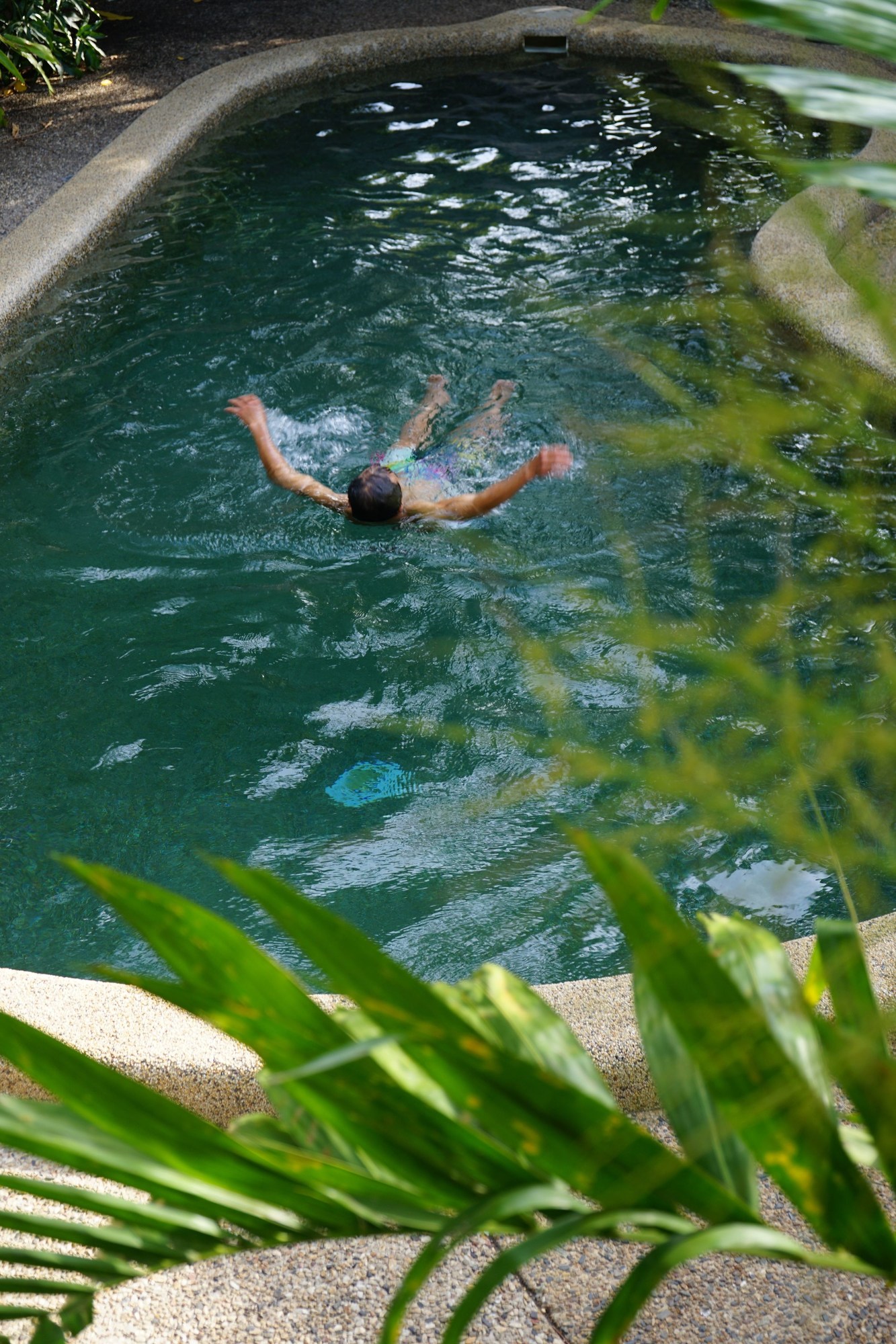 Gecko's Backpackers Cairns