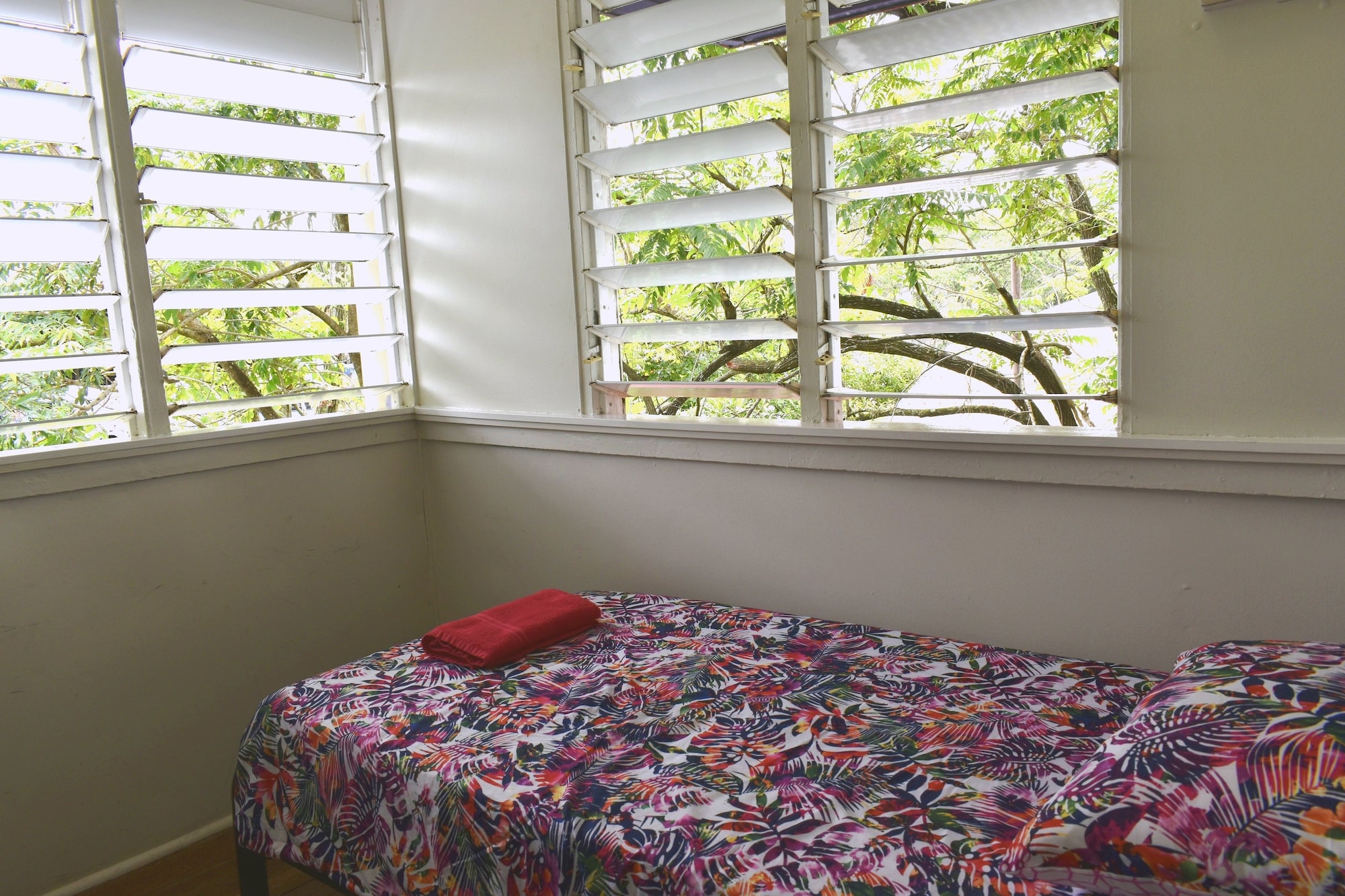 Gecko's Backpackers Cairns