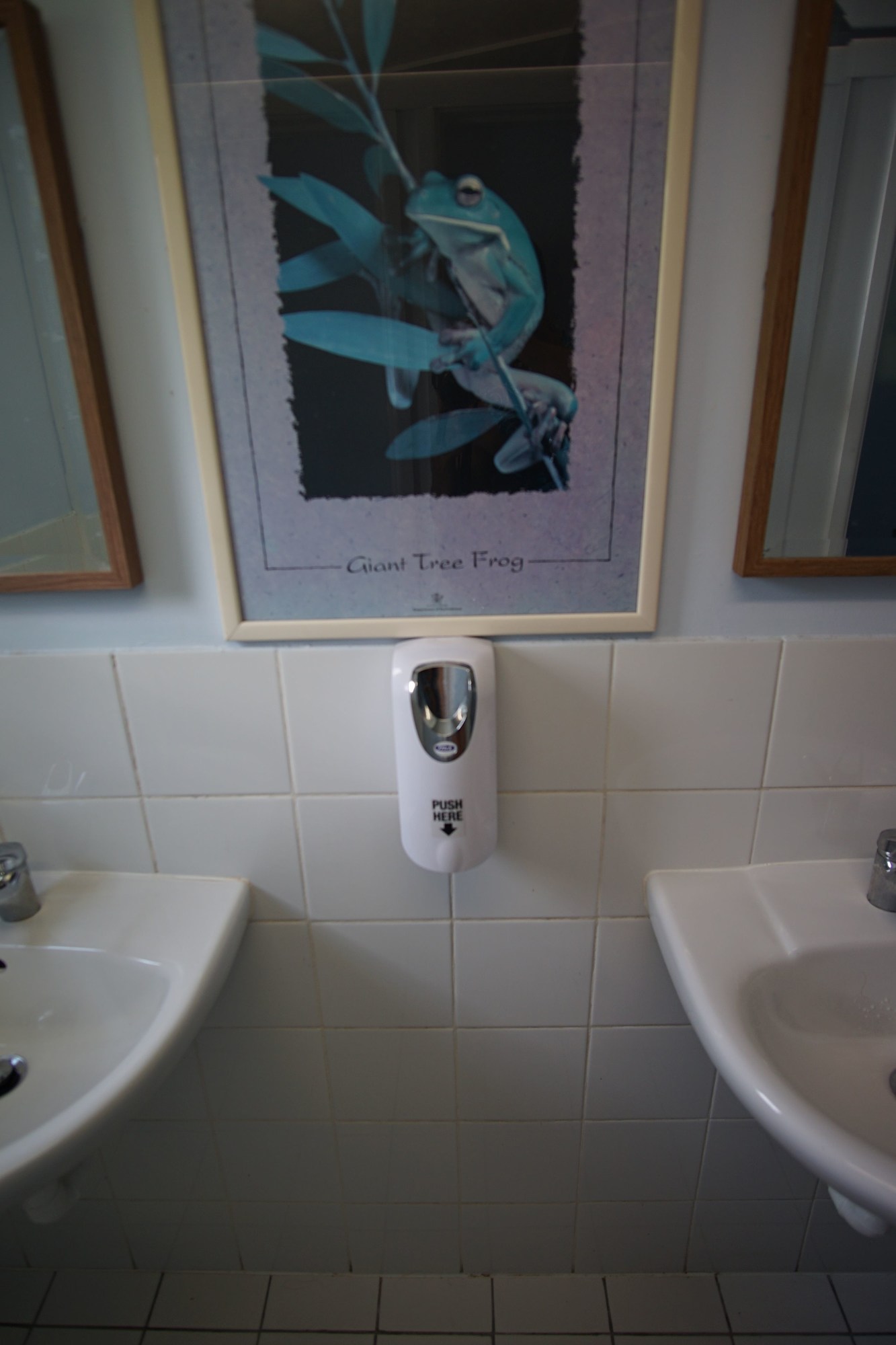 Gecko's Backpackers Cairns