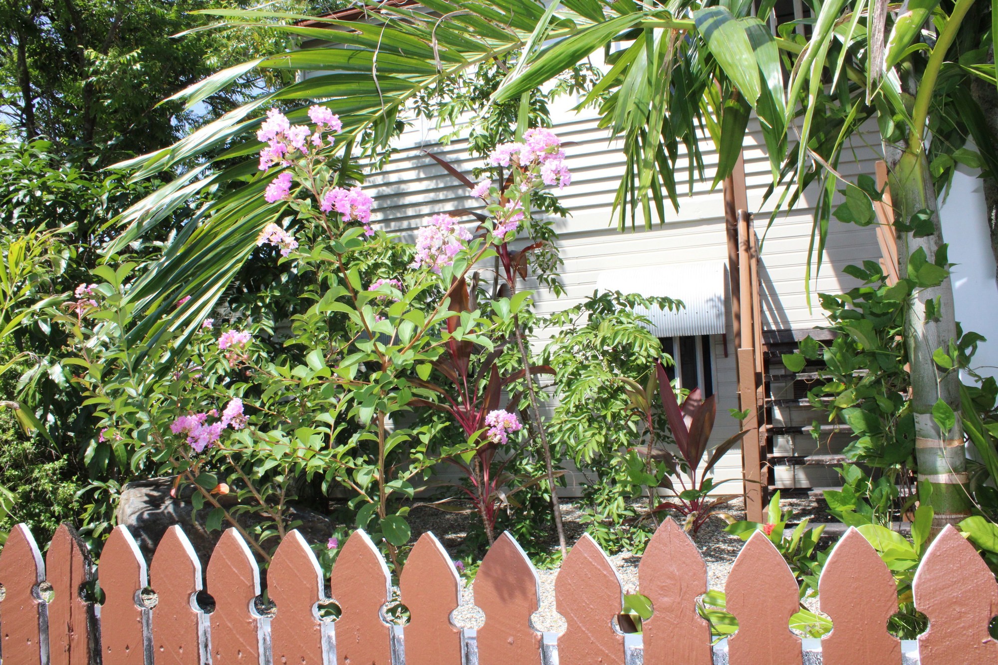 Gecko's Backpackers Cairns