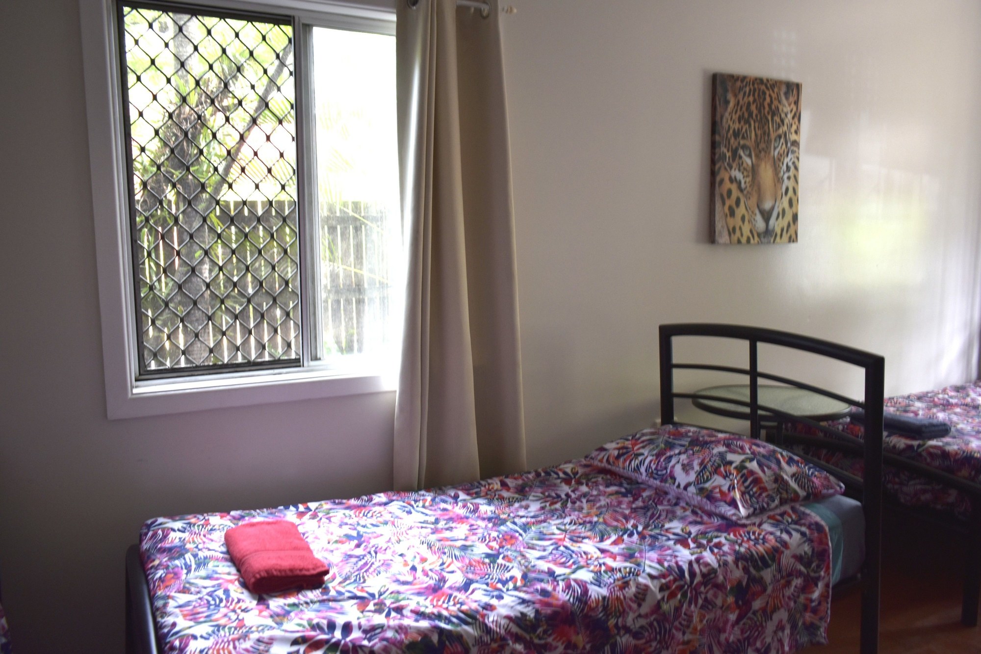Gecko's Backpackers Cairns