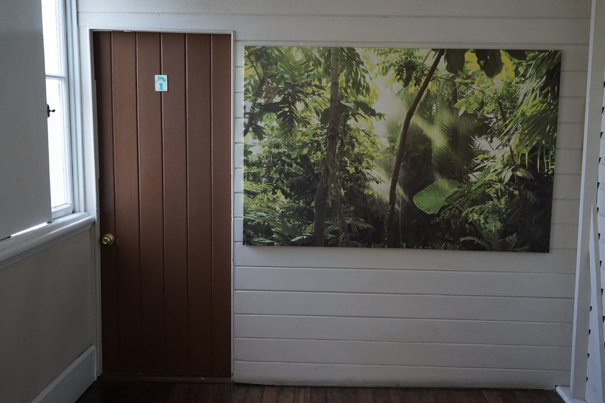 Gecko's Backpackers Cairns