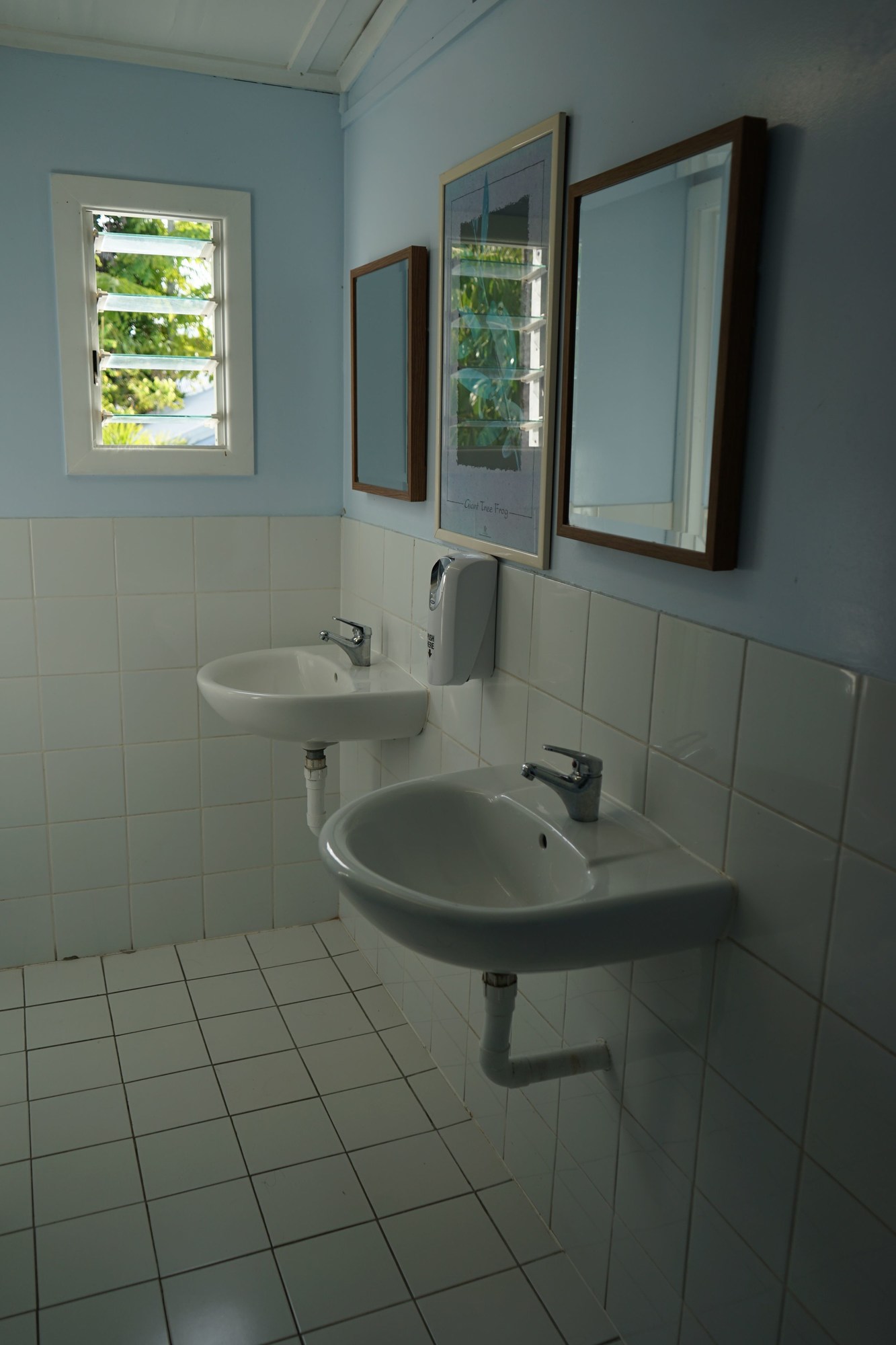 Gecko's Backpackers Cairns