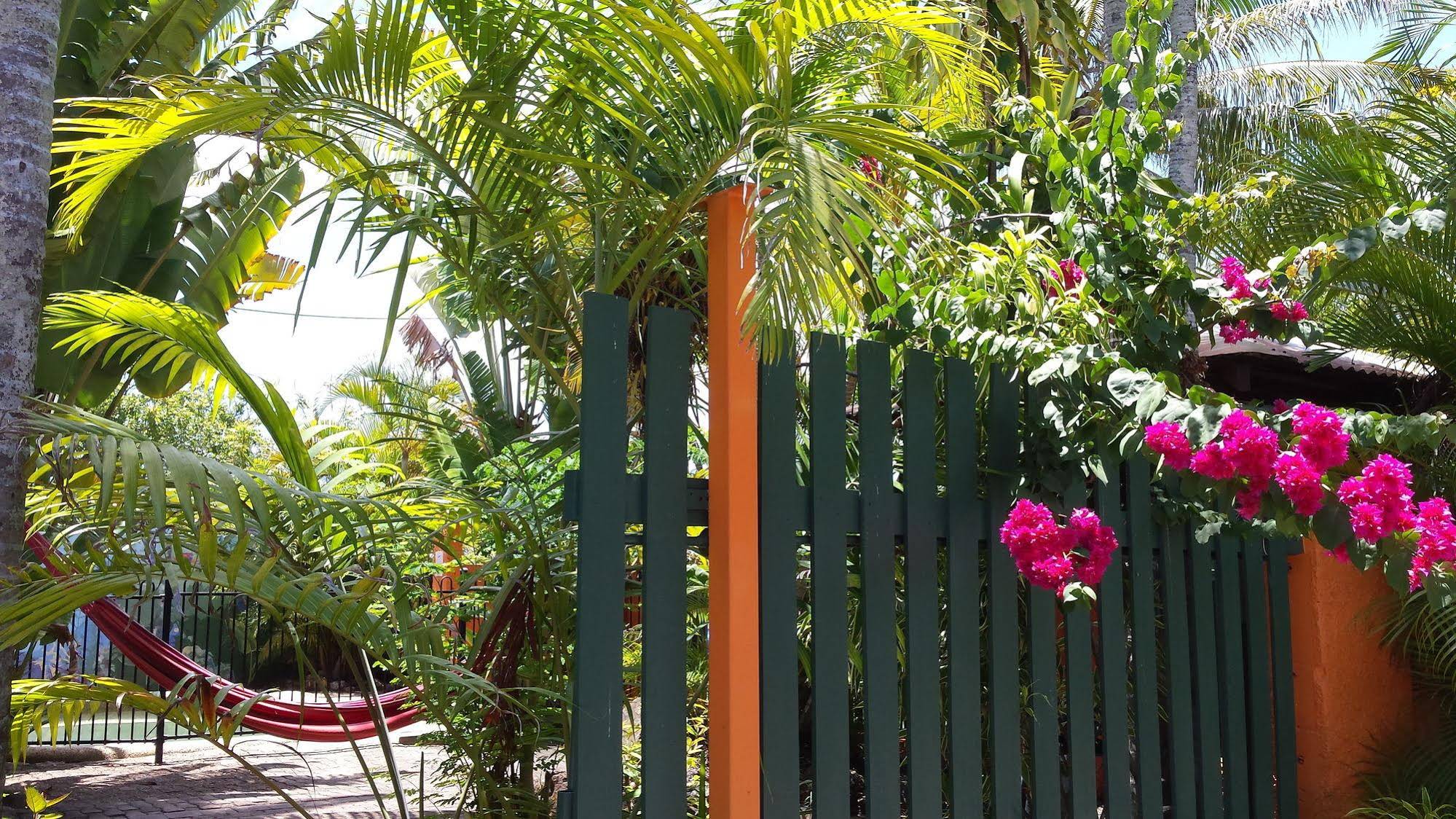 JJ's Backpackers Hostel