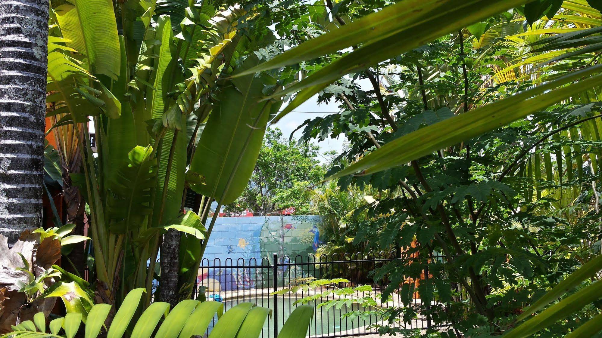 JJ's Backpackers Hostel