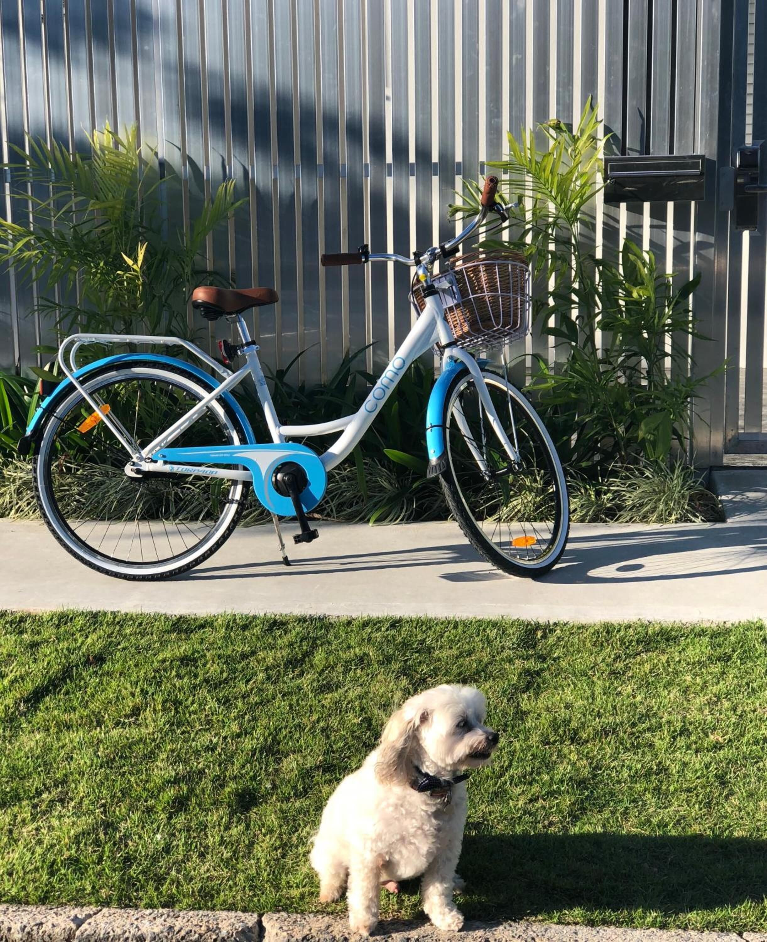 MiHaven Shared Living - Pembroke Gatton St