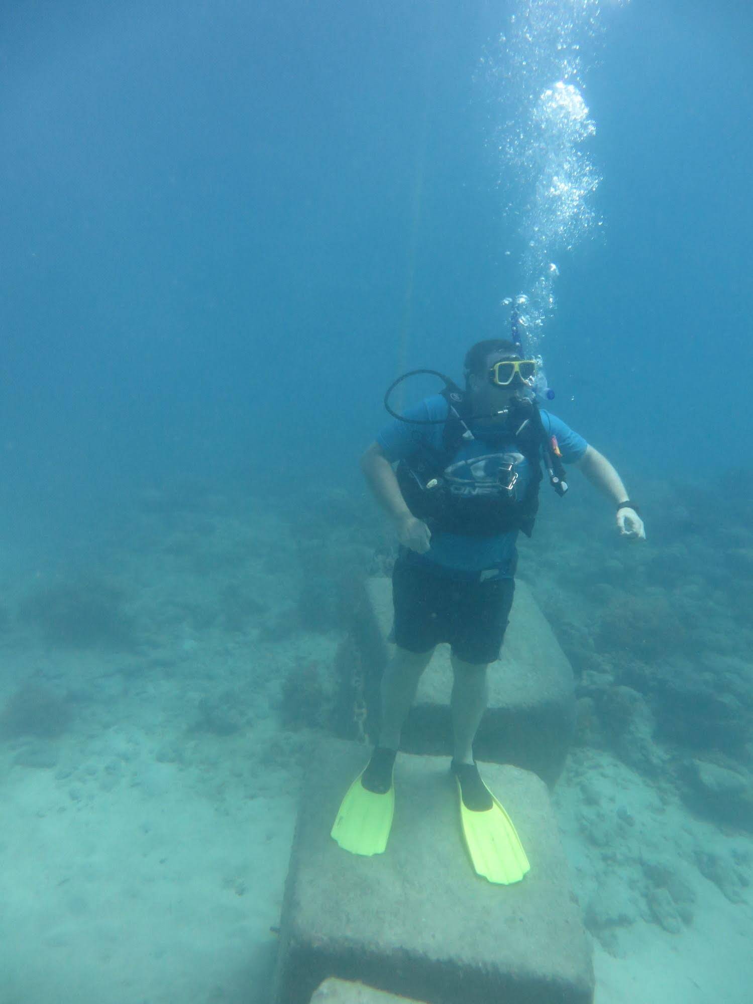 Reef Backpackers