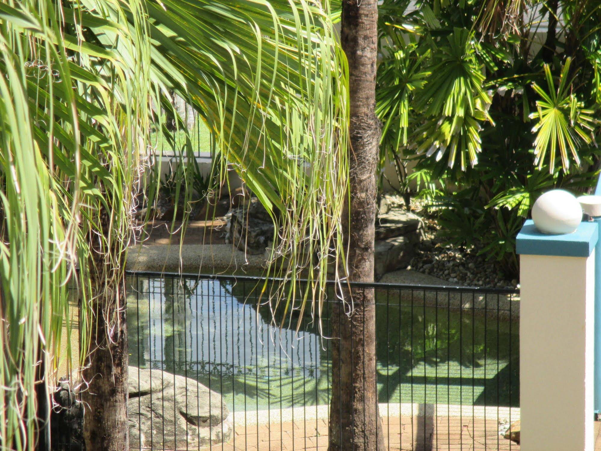 Royal Palm Villas