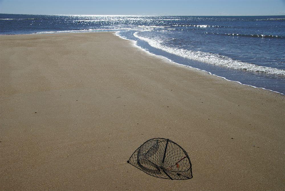The York Beachfront Holiday Apartments