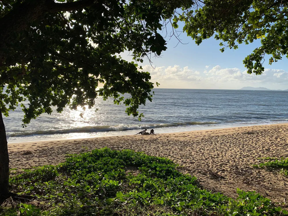 Valle Vista Luxury Apartments