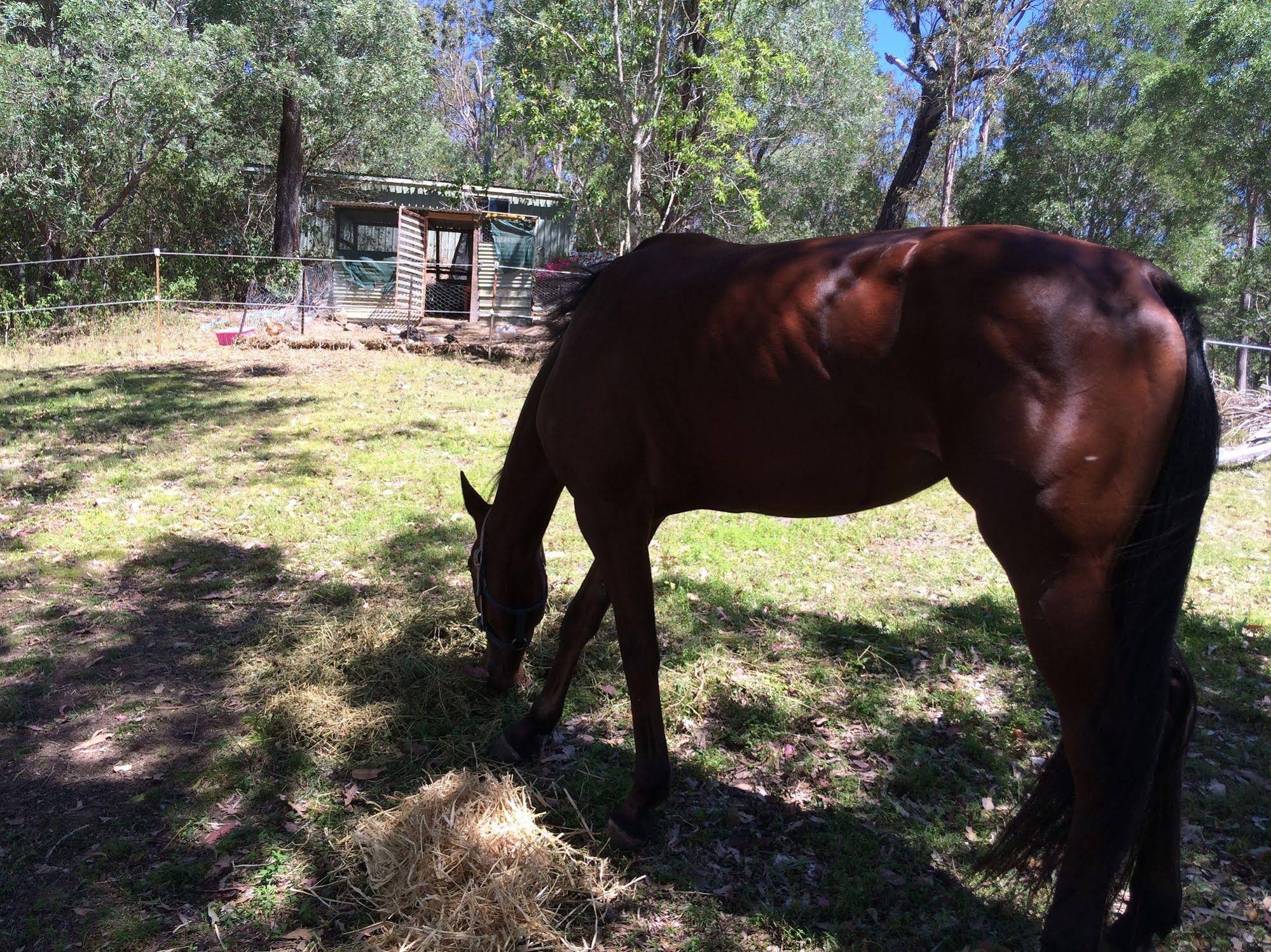 Pearl of Contentment Retreat