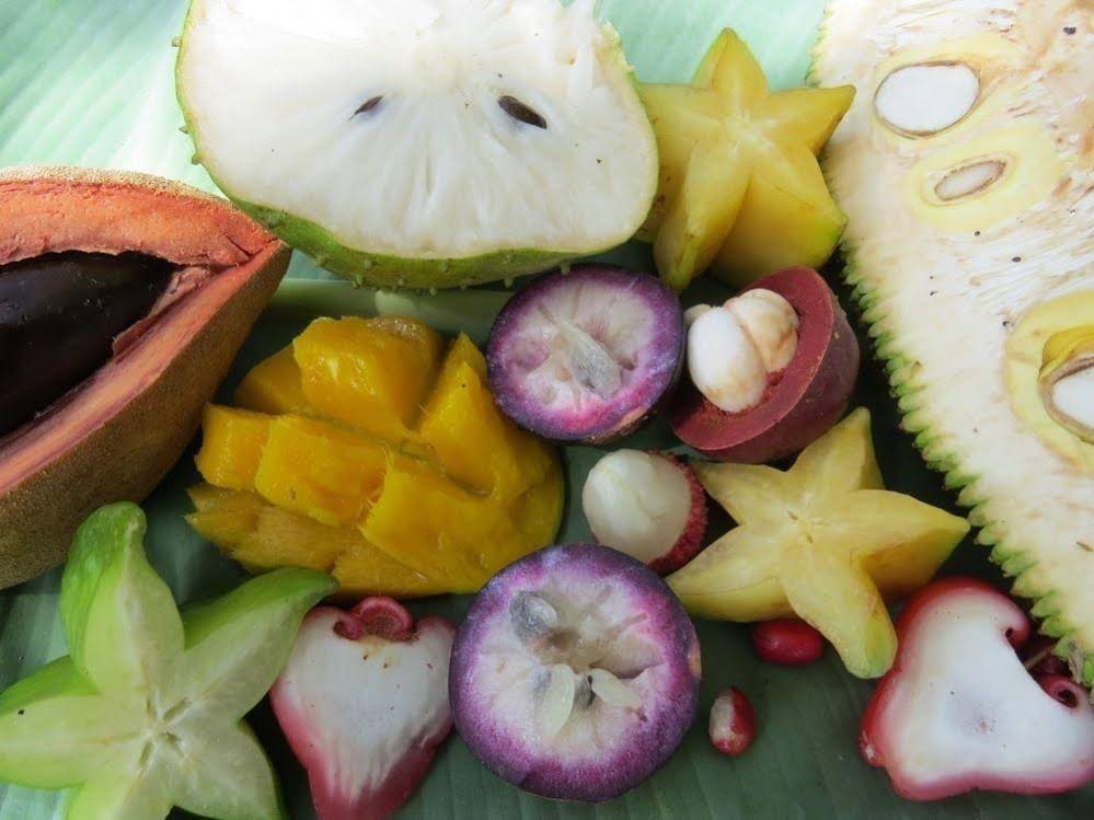 Cape Trib Farmstay