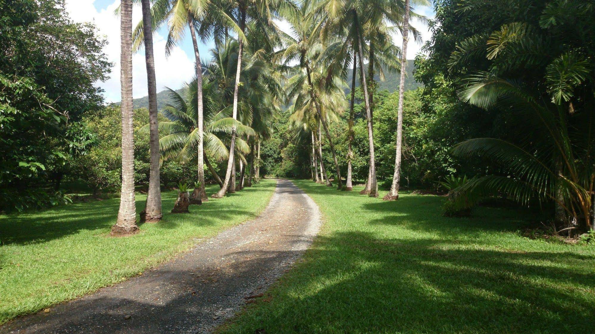 Cape Trib Farmstay