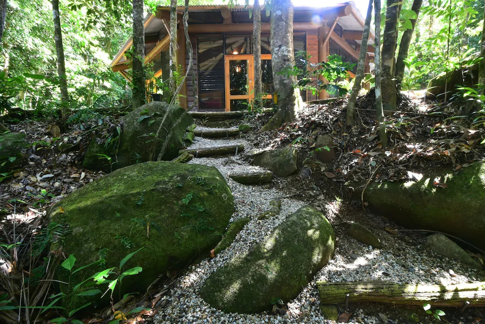 Daintree Cascades