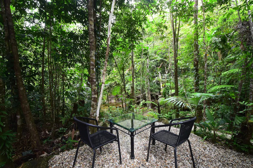 Daintree Cascades