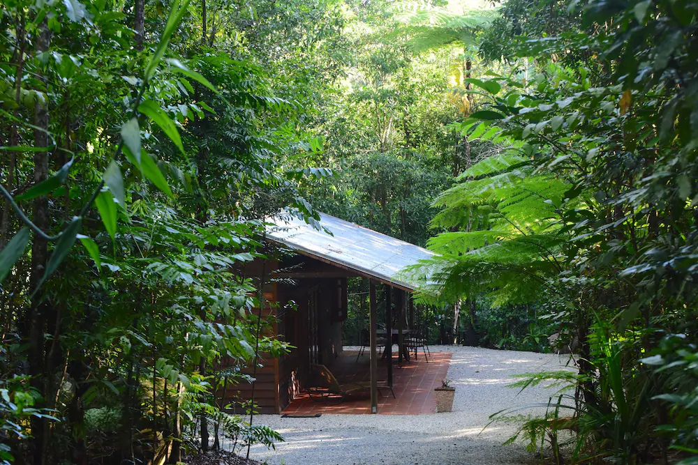 Daintree Cascades