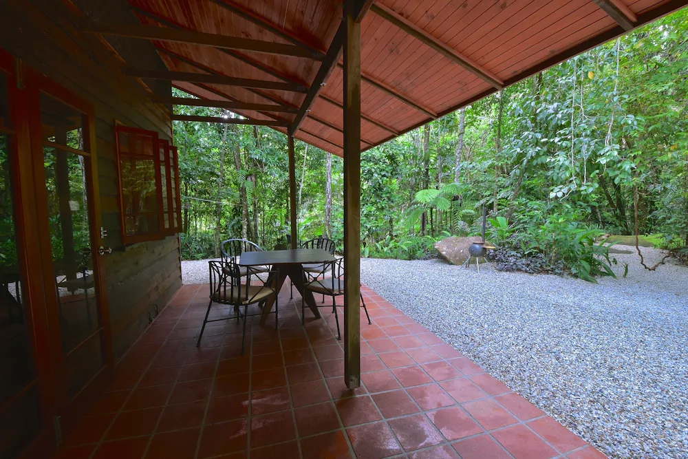 Daintree Cascades