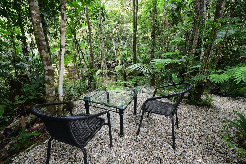 Daintree Cascades